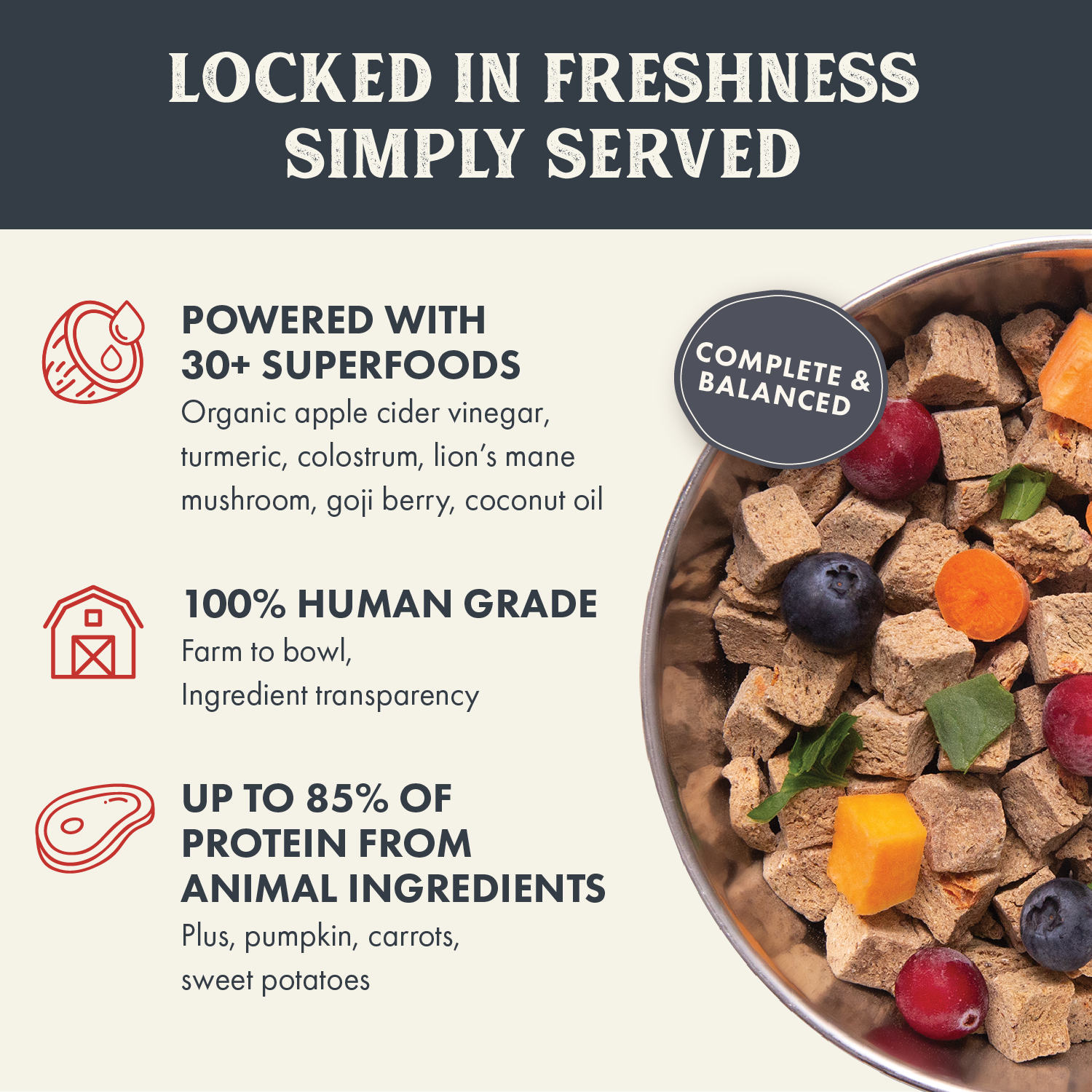 Health Extension Pet Care - Gently Air Dried Beef Recipe